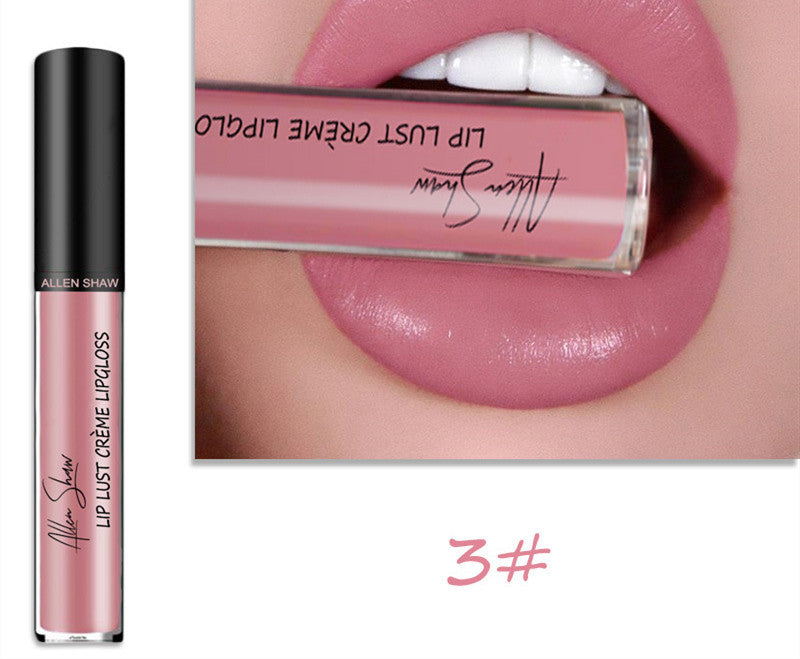 Silky Cream Lip Gloss - Aliexpress Shopee Exclusive Lip Glaze Lipstick