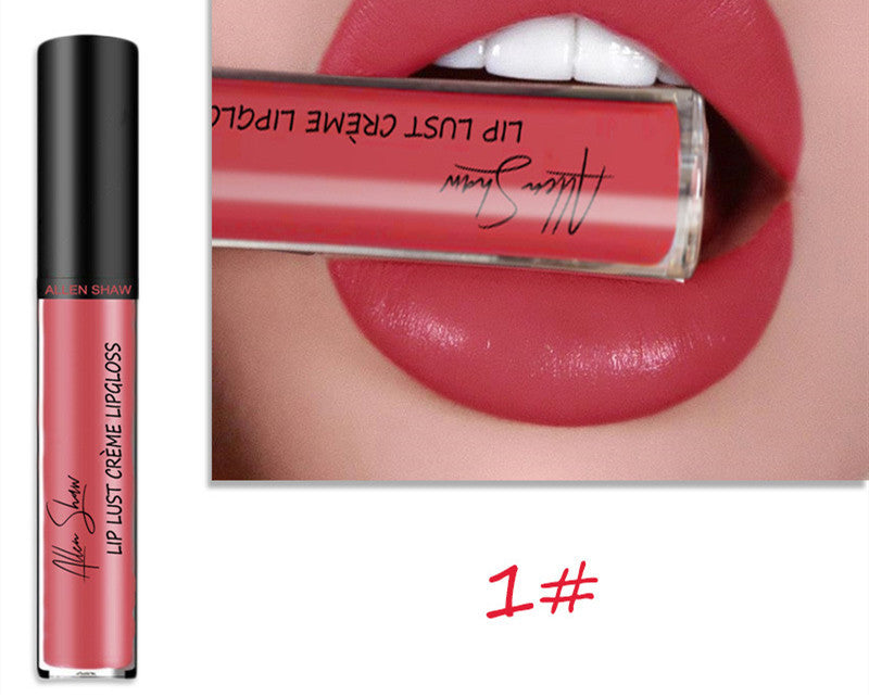 Silky Cream Lip Gloss - Aliexpress Shopee Exclusive Lip Glaze Lipstick