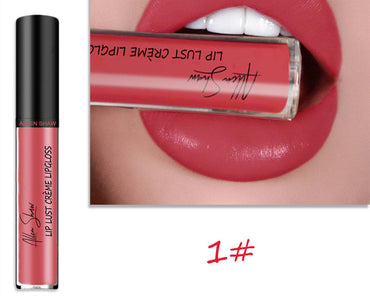 Silky Cream Lip Gloss - Aliexpress Shopee Exclusive Lip Glaze Lipstick