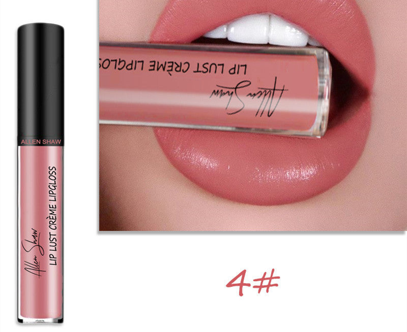 Silky Cream Lip Gloss - Aliexpress Shopee Exclusive Lip Glaze Lipstick