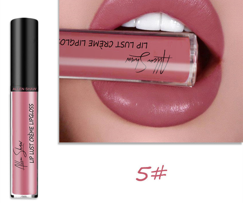 Silky Cream Lip Gloss - Aliexpress Shopee Exclusive Lip Glaze Lipstick