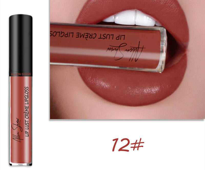Silky Cream Lip Gloss - Aliexpress Shopee Exclusive Lip Glaze Lipstick