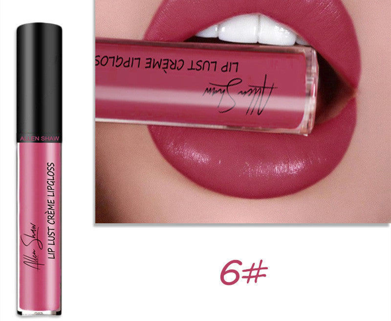 Silky Cream Lip Gloss - Aliexpress Shopee Exclusive Lip Glaze Lipstick