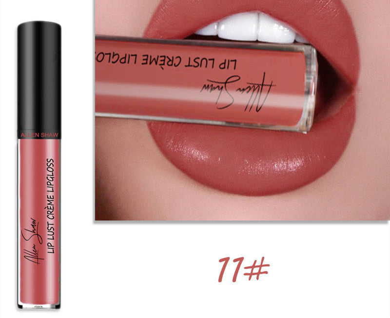 Silky Cream Lip Gloss - Aliexpress Shopee Exclusive Lip Glaze Lipstick