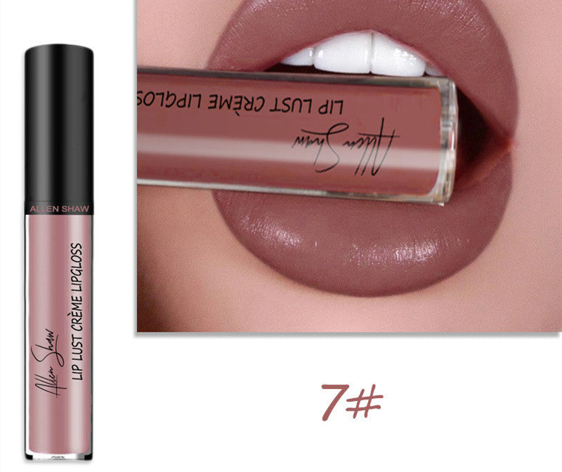 Silky Cream Lip Gloss - Aliexpress Shopee Exclusive Lip Glaze Lipstick