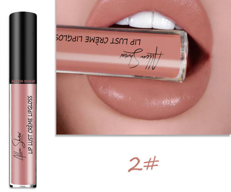 Silky Cream Lip Gloss - Aliexpress Shopee Exclusive Lip Glaze Lipstick