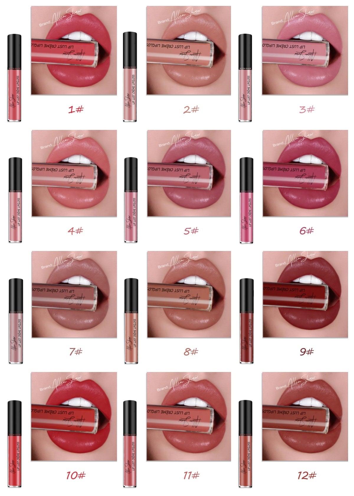 Silky Cream Lip Gloss - Aliexpress Shopee Exclusive Lip Glaze Lipstick